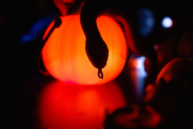 Украшение дома паутиной и летучими мышами к Хэллоуину в Almaty